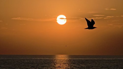 aw765832-01.jpg