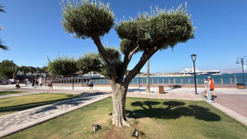 cesme-2.jpeg