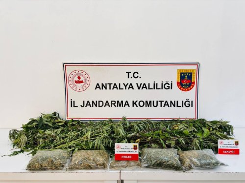 aw779311-01.jpg