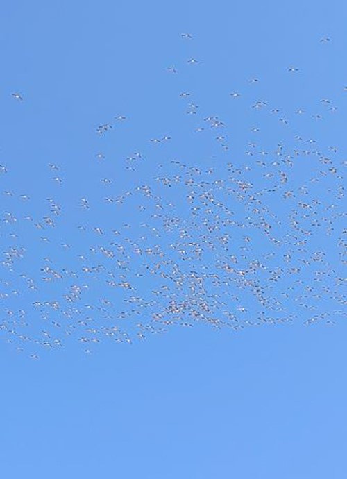 aw779720-03.jpg