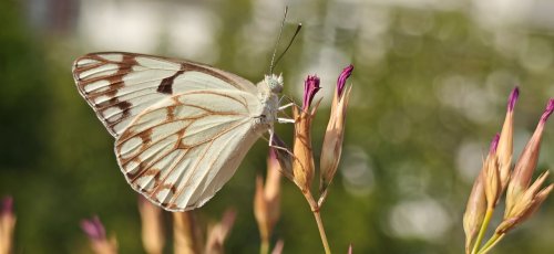 aw780237-01.jpg