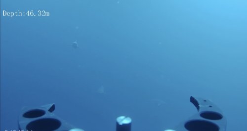 aw783792-01.jpg