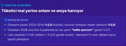 tuketicianlam.png