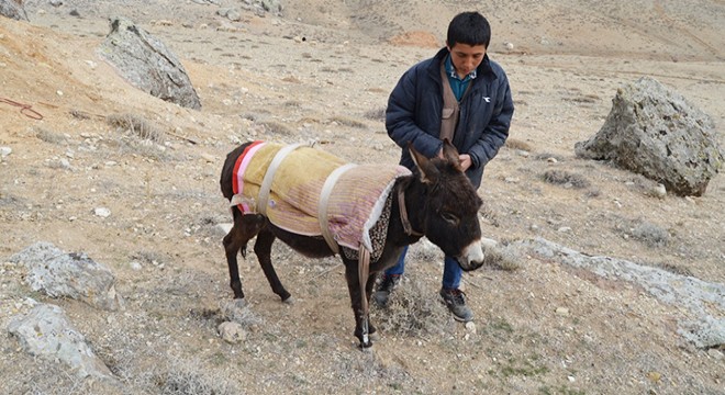 kuyuya-dusen-esek-kurtarildi-442249.jpg
