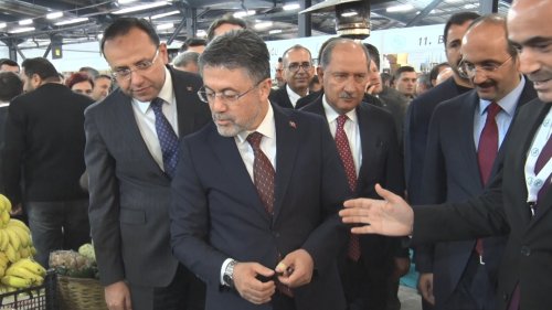 aw805401-02.jpg