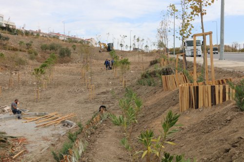27-10-2026-63377440-b55f-48c2-9beb-1f2f8b35eb4c.jpg
