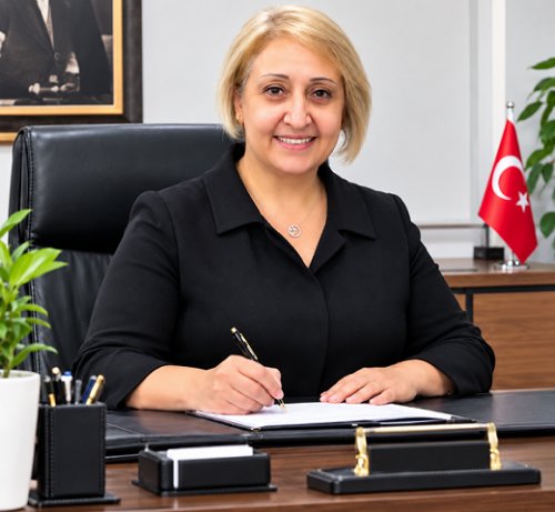 baskan.png