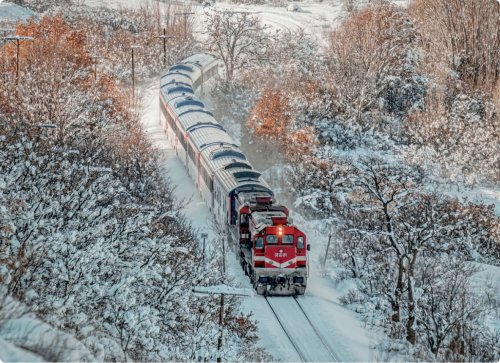 train-card-dogu-ekspresi.jpg