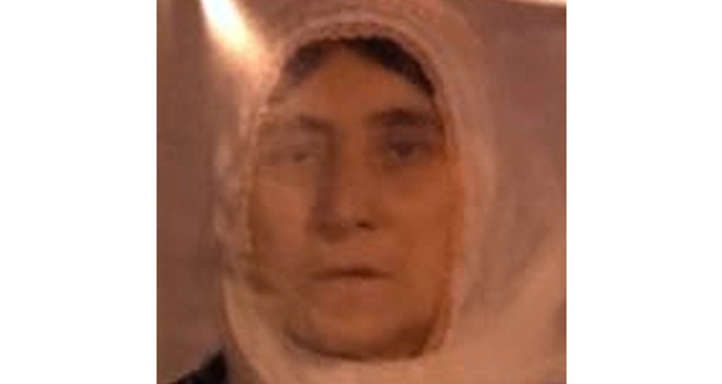 2195307.jpg