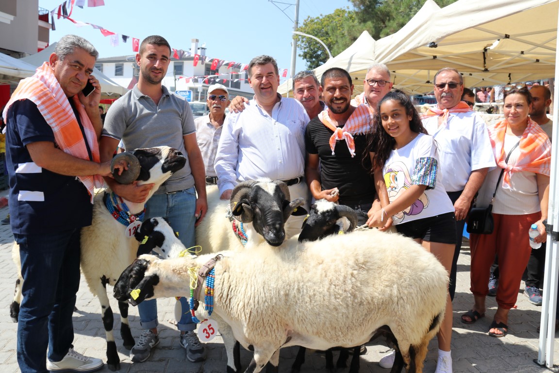 5.-ovacik-tarim-ve-sakiz-koyunu-festivali-coskuyla-kutlandi-(5).jpg