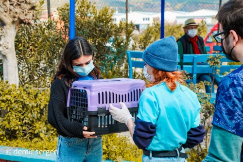 buyuksehir-belediyesi-can-dostlara-sahip-cikiyor-(13).jpg