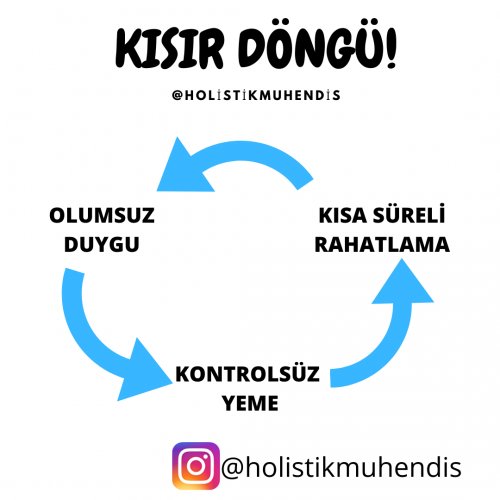 diyet-dongusu-foto-1.png