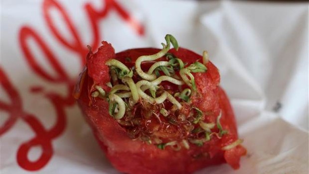 domates.jpg domates.jpg