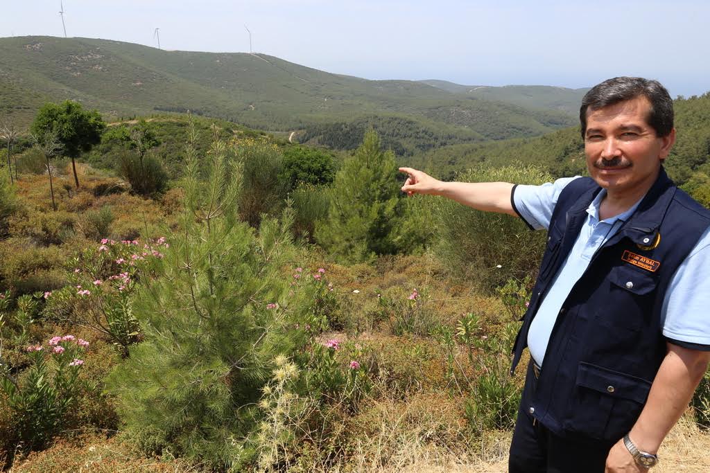 egehaberleri-001.jpg egehaberleri-001.jpg