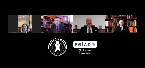 egiad-cin-raporu-gorsel.jpeg