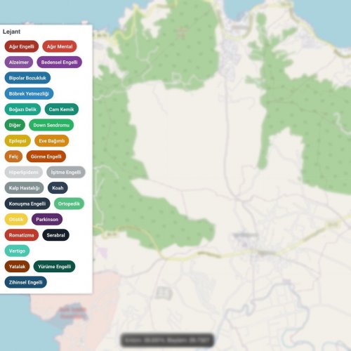 engelli-bilgi-sistemi.jpg