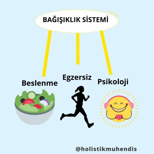 foto-1-bagisiklik-sistemi.jpg