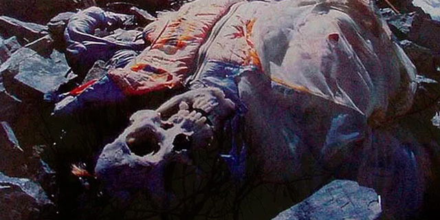 franny.jpg franny.jpg