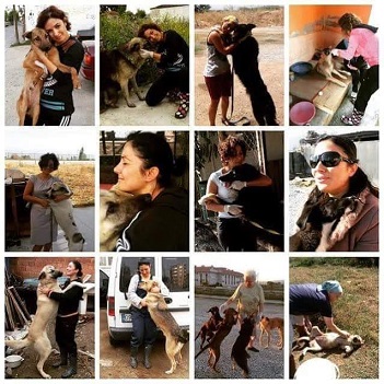 funda-kucuk-001.jpg funda-kucuk-001.jpg