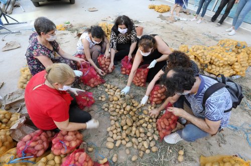 gaziemirde-10-ton-patates-ihtiyac-sahiplerine-dagitilmaya-baslandi-(5).jpg