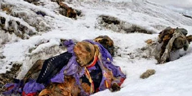 kimliksiz.jpg kimliksiz.jpg