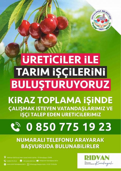 kiraz-ureticileri.jpg