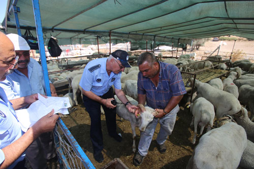 kurbanliklar-denetim--(3).jpg