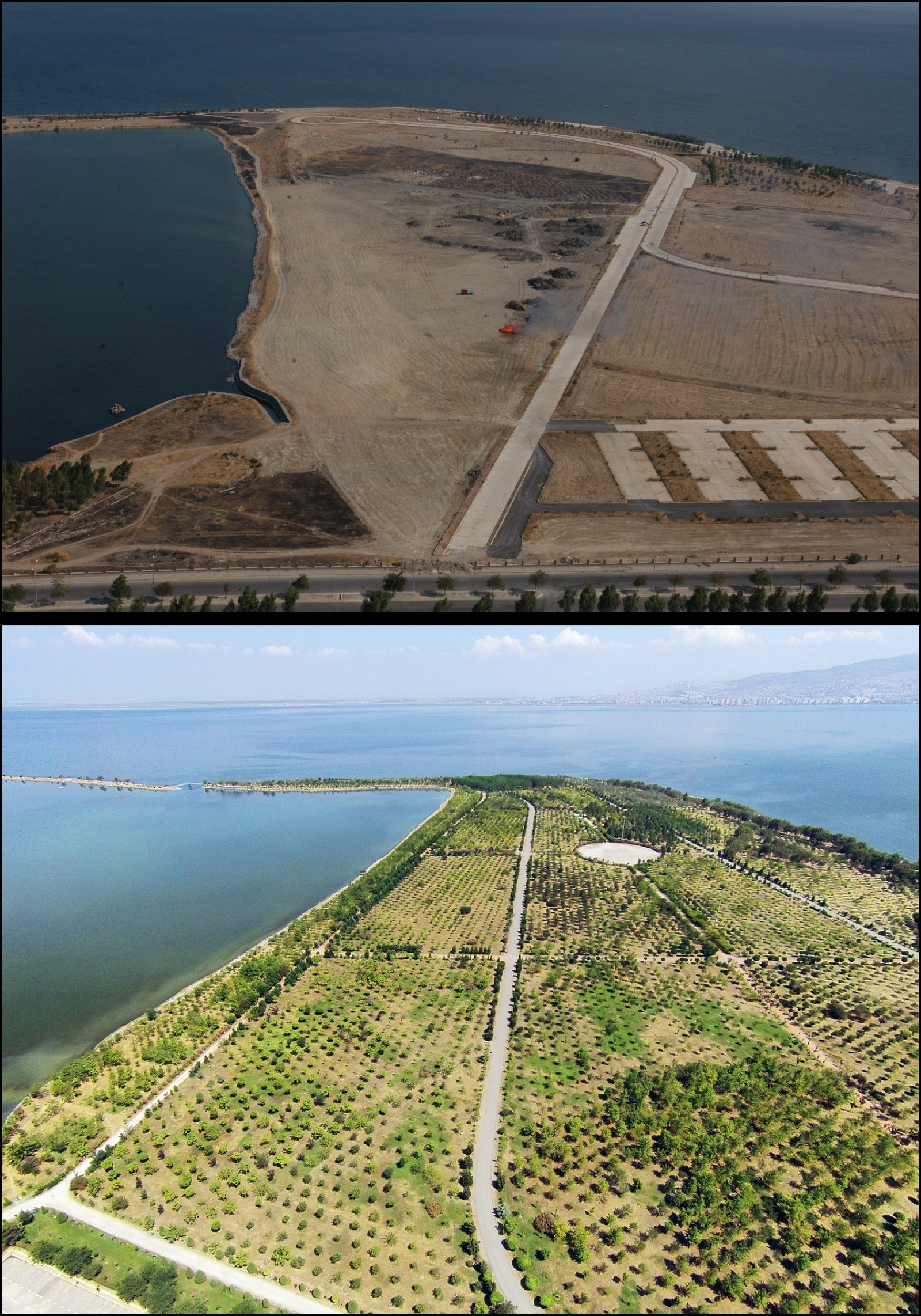 s85563.jpg s85563.jpg