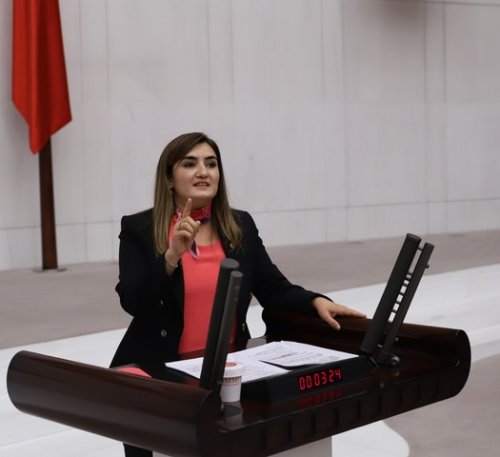 tbmm-genel-kurulu-engelli̇-tekli̇fi̇-004.jpeg