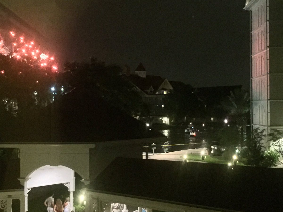 timsah.jpg timsah.jpg