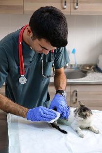 unnamed-040.jpg unnamed-040.jpg