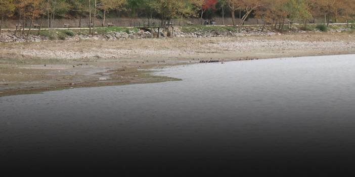 Sapanca Gölü'nde esrarengiz görüntü