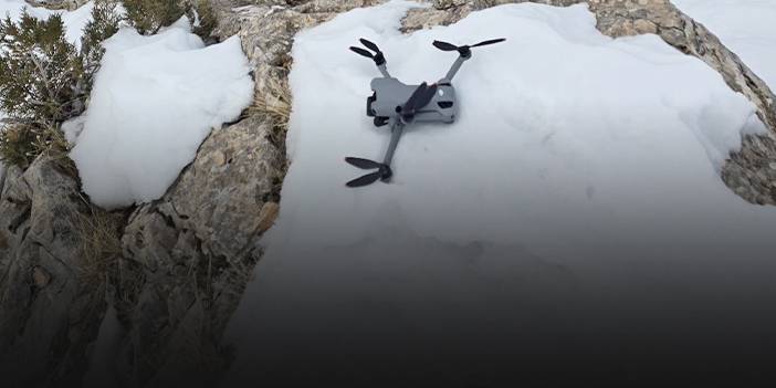 Kartal dronu kaptı! Dağın zirvesine bıraktı!
