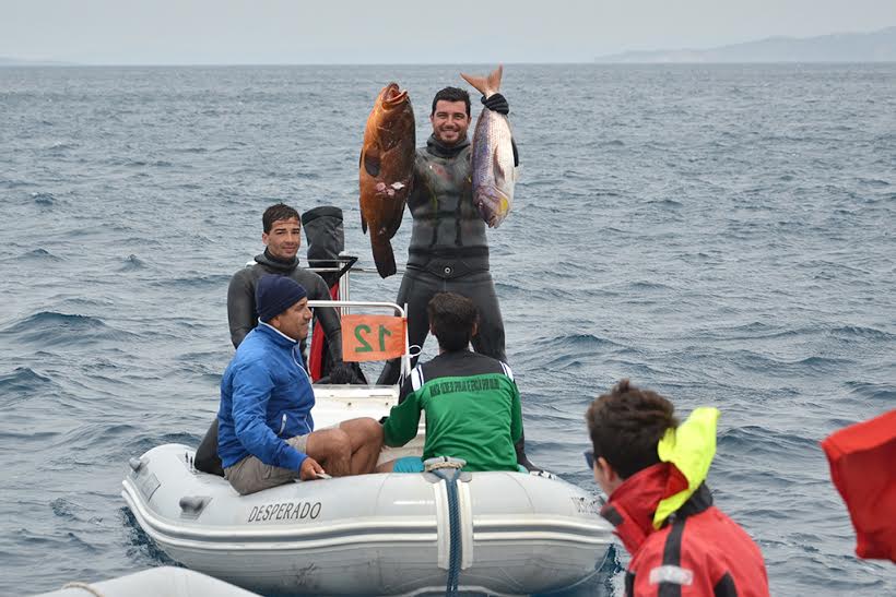 1ab1f1ab-af09-408e-ba8d-d92223ac3497