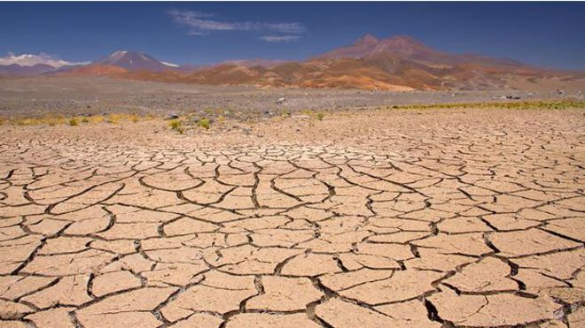 141117112218_life_atacama_624x351_bbc_nocredit